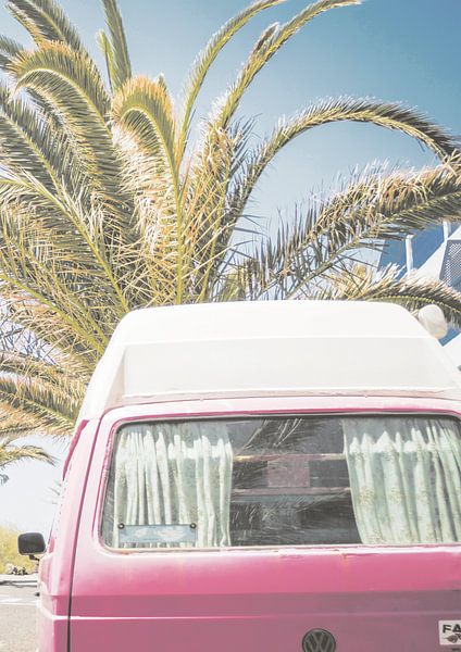 Roze busje en palmboom van David Potter