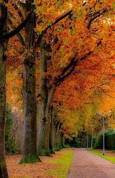 Kleurige herfst van Agnes Jaspers