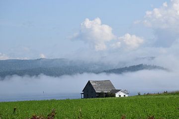 A mist on a summer morning by Claude Laprise