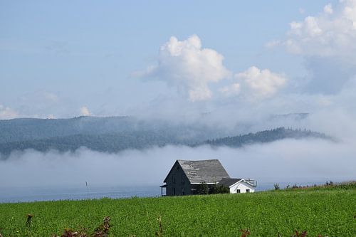 Een mist op een zomerochtend