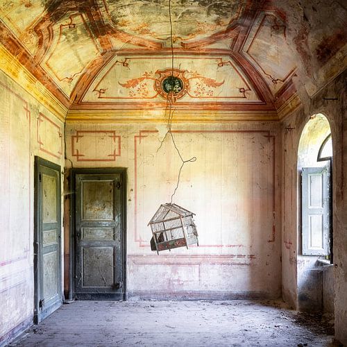 Cage à oiseaux abandonnée dans la maison.