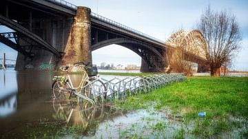 Nijmegen Hochwasser #5