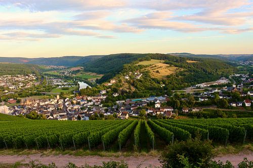 idyllic view over a German vineyard