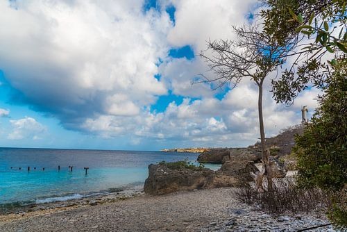 Beautiful beach in Curacao