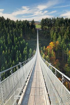 Hängeseilbrücke Geierlay auf dem Hunsrück in Rheinland-Pfalz von Markus Lange