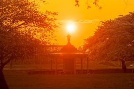 Dresden von Sylvio Dittrich