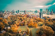 autumn in rotterdam by Michael van Dam thumbnail