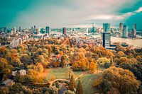 autumn in rotterdam