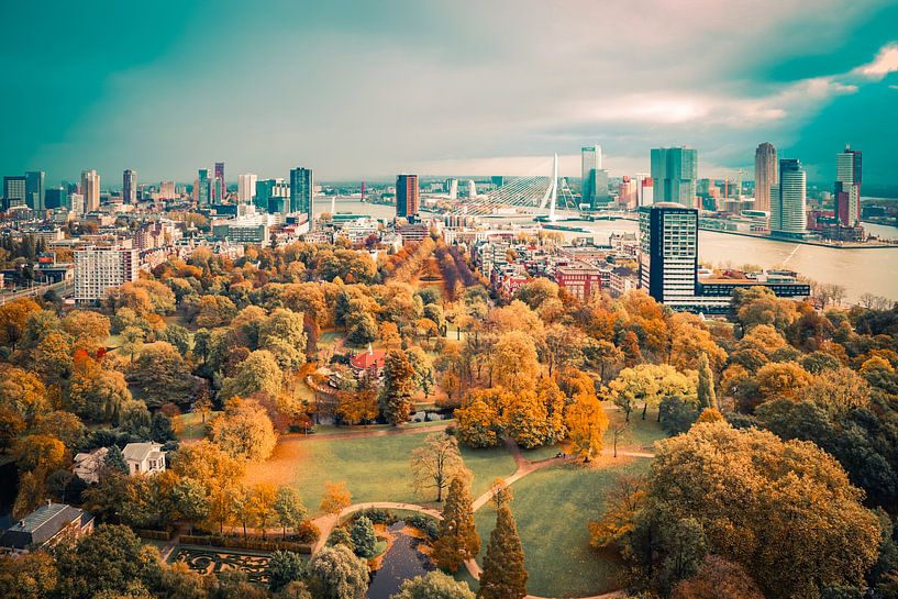 autumn in rotterdam by Michael van Dam