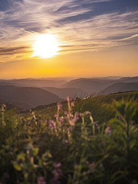 Zonsondergang in Frankrijk