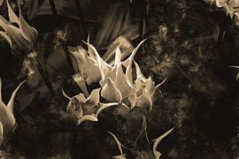 Tulipes modernes botaniques semi-abstraites en beige et marron sur Dina Dankers