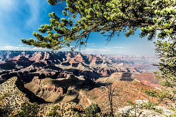 Grand Canyon National Park van Eric van Nieuwland