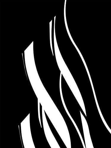 Organisch 17 | Zwart & Wit