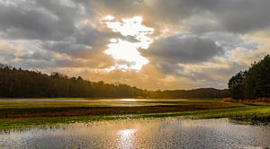Sonne_01