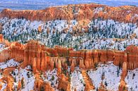 L'hiver dans le parc national de Bryce Canyon, Utah par Henk Meijer Photography Aperçu