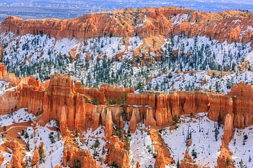 Winter in Bryce Canyon Nationaal Park, Utah van Henk Meijer Photography