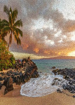Hawaii strand van irvan halim