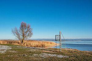 Boddenufer auf dem Fischland-Darß in Dierhagen
