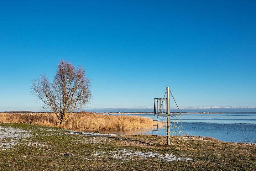 Bodden shore on the Fischland-Darß in Dierhagen by Rico Ködder