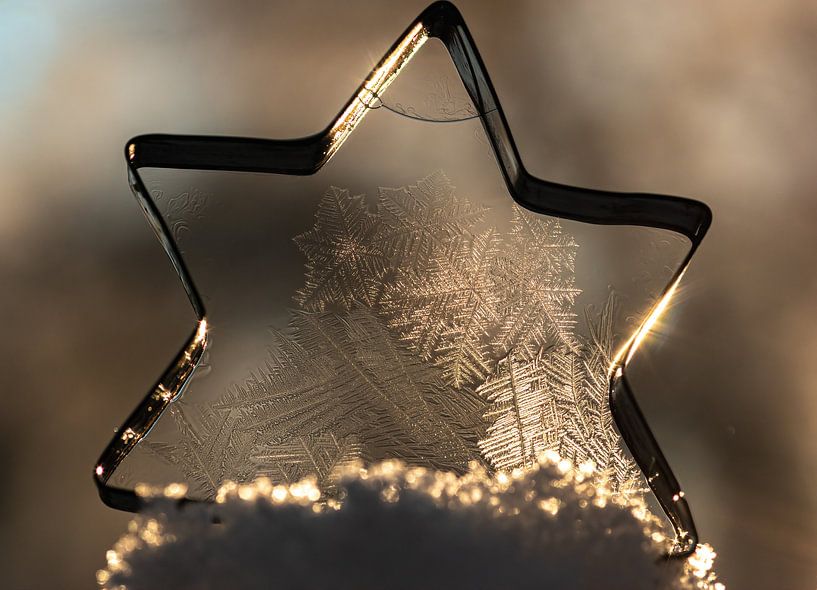 Ice Star by Margit Kluthke