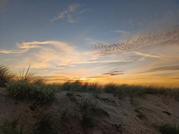 Duinrand in de avond van Suzanne Gerrebrands