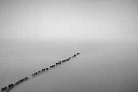 Tempus Fugit III - Suspended