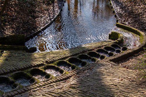 Reflecties in de vijver van Park Sonsbeek in Arnhem, Netherland.