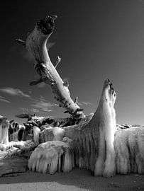 Ice Giants by Jörg Hausmann