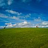 THE LONG WALK van Frank Brand