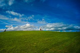 THE LONG WALK by Frank Brand