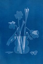 Cyanotype – Flowers in a vase #4