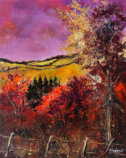 Herfst in de Ardennen van pol ledent