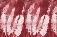 Varenbladeren. Moderne abstracte botanische kunst in rood, wit, roze van Dina Dankers thumbnail