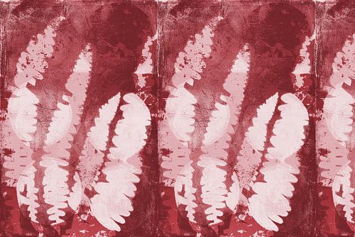 Feuilles de fougère. Art botanique abstrait moderne en rouge, blanc et rose.