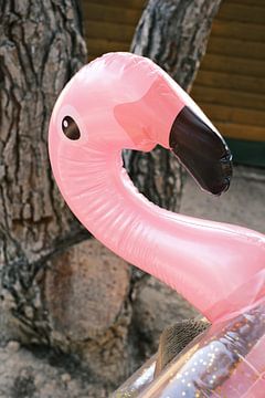 Pink inflatable flamingo // Travel photography