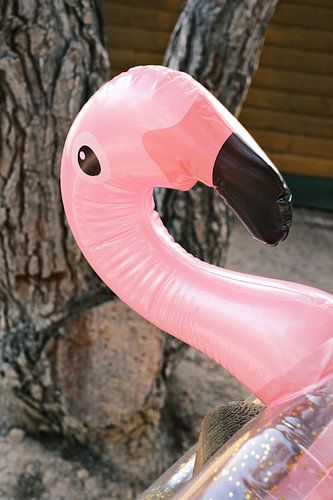 Roze opblaasbare Flamingo // Reisfotografie