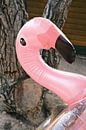 Roze opblaasbare Flamingo // Reisfotografie van Diana van Neck Photography thumbnail