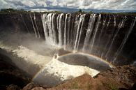 Victoria Falls, Zimbabwe van Peter Schickert thumbnail