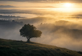 Golden Sunrise Over Misty Valley by Winston Sobalvarro
