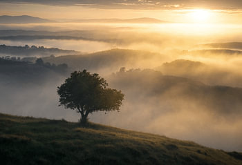 Gouden zonsopgang boven een mistige vallei
