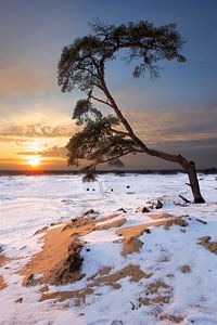 La neige et le sable sur Mark Leeman