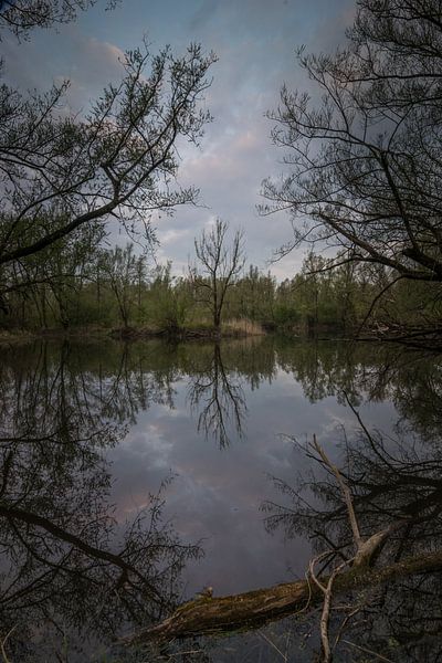 Weerspiegelende ven in het avondlicht van Patrick Verhoef