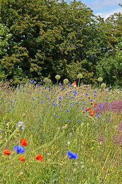 Bloemenweide van Ines Thun