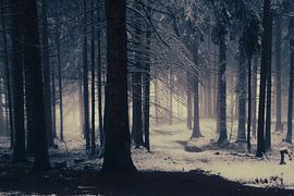 Innsbruck in fog and snow by Travel.san