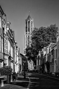 Die Kathedrale von Utrecht von der Lange Nieuwstraat aus gesehen