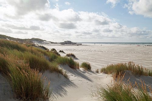 Strand von Terschelling