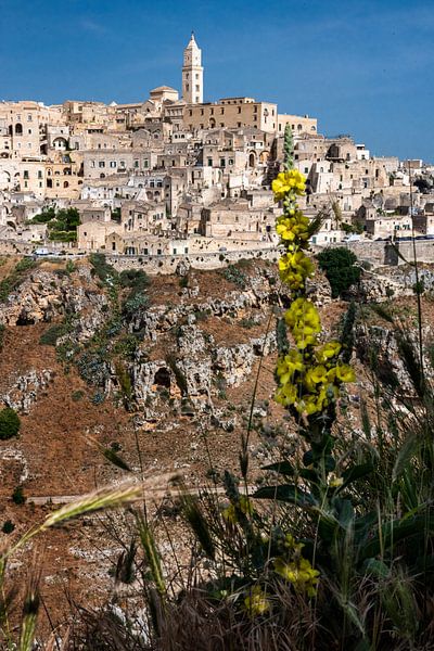midevil Matera old town by Alex Neumayer