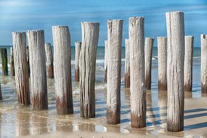 Strandpfosten