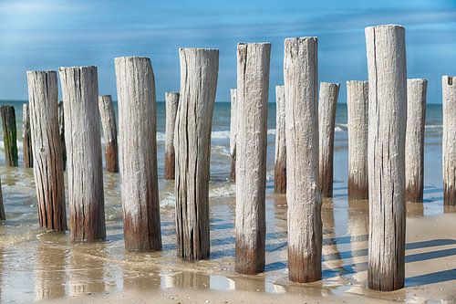 Beach posts