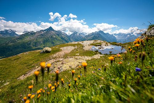 Bloemrijke uitzichten op de streek rond het meer van Sils
